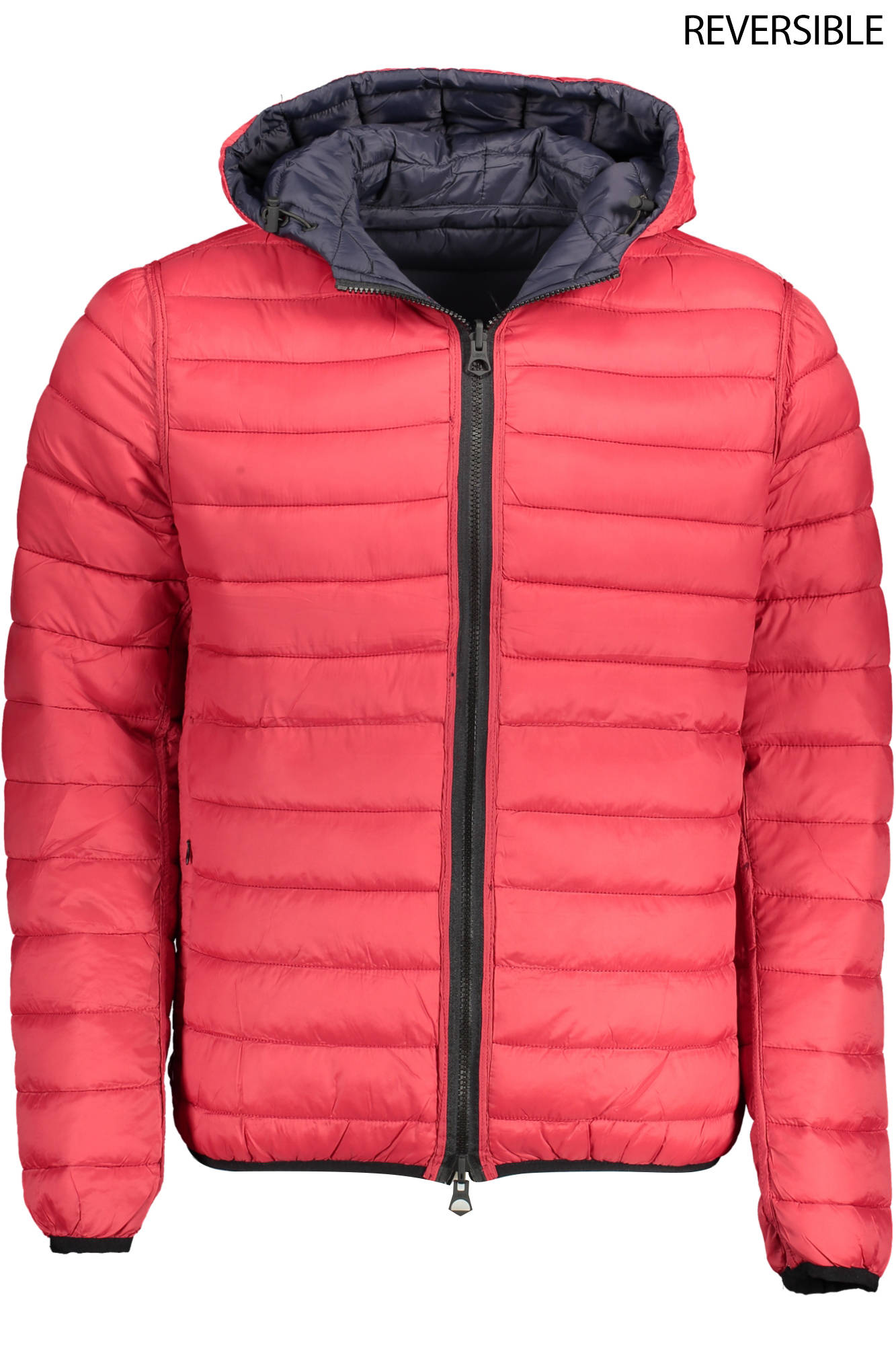 U.S. POLO ASSN. Blue Jacket - Fizigo